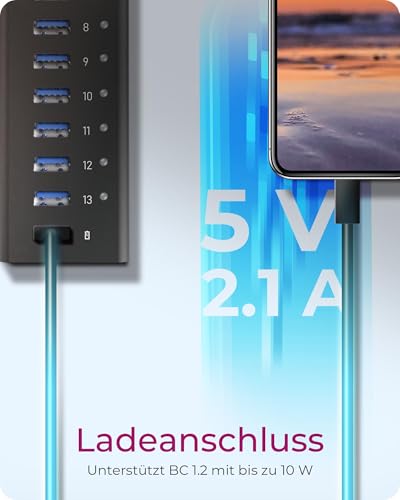 Raidsonic ICY BOX IB-AC6113 13-Port USB 3.0 Hub