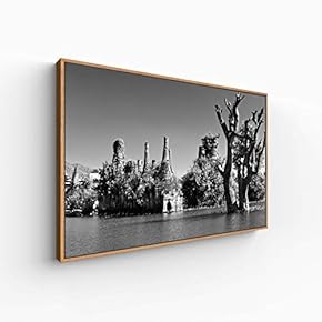 Canvas Wall Art for Living Room, Bedroom Monochrome Plants Framed Canvas Prints for Home Decoration Ready to Hang - 16x24 inches