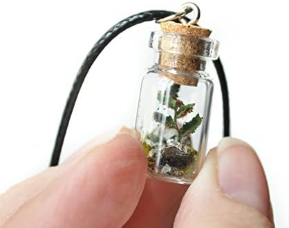 Fertile Fern Leaf Frond with Lichen and Moss Vial Bottle Pendant Necklace- Shroom Necklace- Witchy- Viking- Nature Jewelry