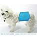Rovtop 4 Packs Washable Male Dog Diapers for Waist Size 13