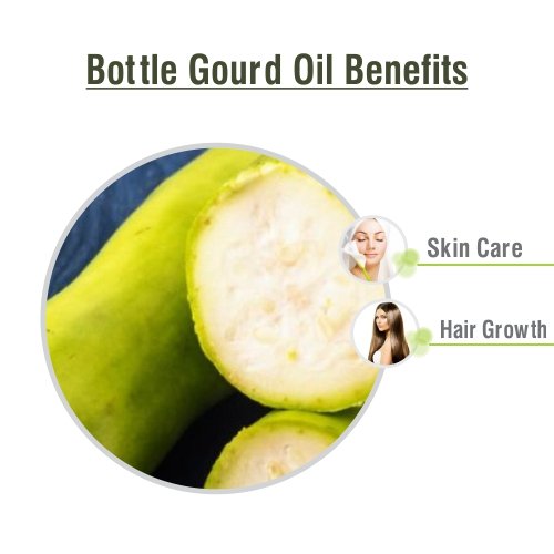 Bottle Gourd Oil (LAGENARIA SICERARIA) 100% Natural Pure Carrier Oil 100ML