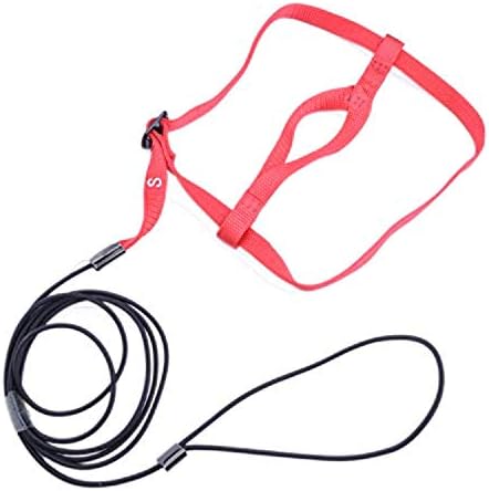 VENBON Pet Bird Harness and Leash， Adjustable Bird Training Lead Harness Leash Flying Outdoor Rope for Parrot