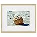 Golden State Art, Gold 8x10 Aluminum Frame for 8 x 10 Picture or 5x7 Photo with Mat - Shatter - Resistant Glass - Wall or Tabletop Display - 1 Pack