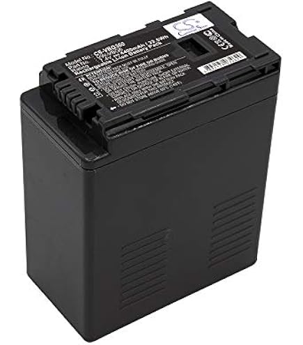 Amazon.com : Kastar Battery Replacement for Panasonic VW-VBG6 AG