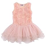 Kids Girls Princess Party Rose Flower Lace Ruffled Layered Tutu Skirt Dress 2-7y (2-3 Years, Pink)
