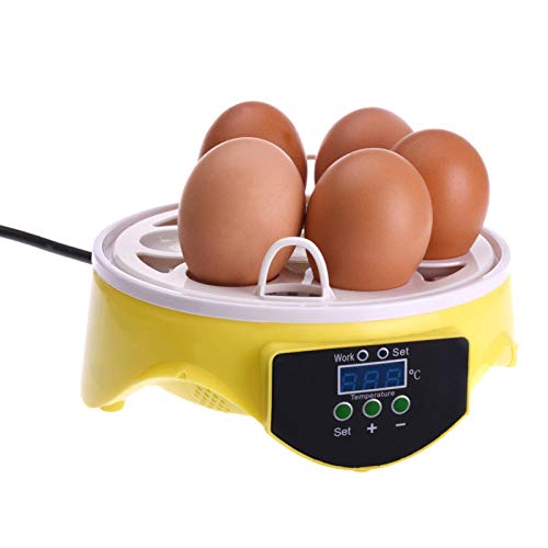 Eier Mini Digital Inkubator Vollautomatische Brutmaschine Brutkasten Temperatur Und Feuchtigkeitsregulierung… – Bild 5