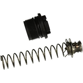 Pentair 77707-0010 Thermal Regulator Replacement Kit Pool and Spa Heater