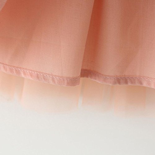 Children Baby Girls Floral Dress, Flower Printing Tutu Party Wedding Birthday Princess Long Sleeve Mesh Dresses (Pink, 18-24 Months)