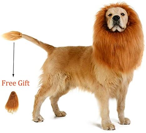 FurPaw Lion Mane for Dog | Halloween Dog Lion Costume/Wig/Hat/Hair with Extra [Lion Tail]