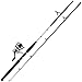 Daiwa DWB40-B/F802M D-Wave Saltwater Spinning Combo, 1 Bearing, 8' Length, 2Piece Rod, Medium Power, Fiberglass Blank Material