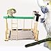 Balacoo Bird Parrot Play Stand Self Assemble Playground Wood Perch Gym Playpen with Ladder Swing Toys Exercise Play Standing Stick Color Randomthumb 3