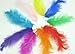 TBUY ROSE 3.5-6 inch 9-15cm Colorful Ostrich Feathers for DIY Dream Catchers Crafts Bulk Feathers Assorted Colors Home Decoration DIY Craft (500 Pack)