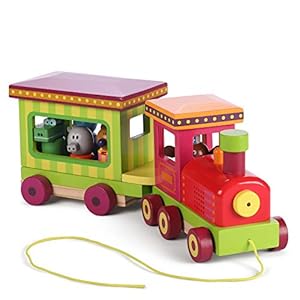 Hey Duggee 9090 Wooden Light and Sound Train, Educational Matching and Sorting Game, Age 18 Months+
