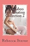The Taboo Feminisation Collection 2: A second taboo collection of transgender erotica