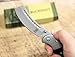 Wartech Buckshot Knives Thumb Open Spring Assisted Cleaver Classic Pocket Knife (PBK219BK)