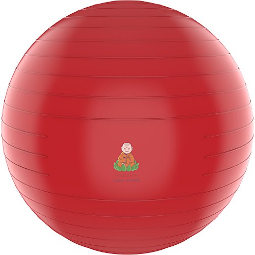 Exercise Ball Stability Fitness Balls | Best Professional Balance Anti-Burst Set â€“ Yoga Large Thick Gym Ball With Pump & Accessories, Extra Pin For Valve, Elastic Loop & Hard Cover Workout Guideâ€¦