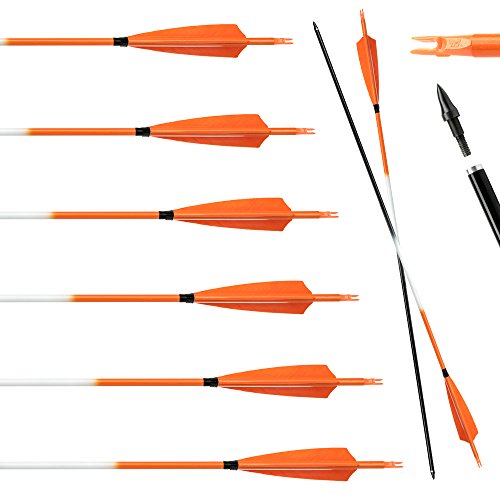 [6 Pack] ARCHERY SHARLY 31" Carbon Archery Practice Arrows 5" Orange Turkey Feather Fletching for Targeting Hunting Recurve & Long Bow