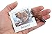 Montessori Animal Match - Miniature North American Wildlife Animal Toy Figurines with Matching Cards - 2 Part Cards. Montessori Learning Toy, Language Materials Busy Bag Activity