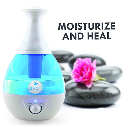 Best Cool Mist Humidifier UltraSonic Steam Vaporizer Whisper Quiet