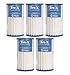 Hot Spring Spas Tri-X Spa Filter for Grandee