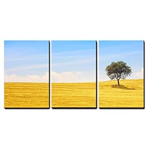3 Piece Canvas Wall Art - Tuscany Country Landscape, Olive Tree and Green Fields Montalcino, Italy, Europe - Modern Home Art Stretched and Framed Ready to Hang - 16"x24"x3 Panels