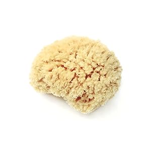 Image of LATHER Natural Sea Wool Sponge - a body sponge for use with your favorite soap or body wash