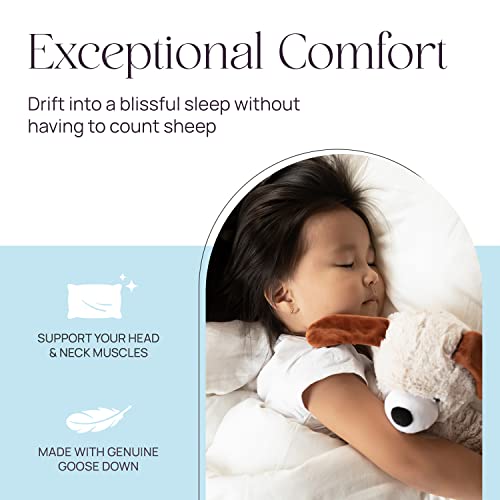 East Coast Bedding Elite European Down Dream Pillow, King, Queen