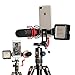 Ulanzi ST-05 All in 1 Phone Tripod Mount Adapter - Foldable Mobile Tripod Clipper Clamp with Hot Shoe/Arca-Style Quick Realease Plate Vertical Video Shooting Rig Compatible for iPhone Xs XR X Huawei