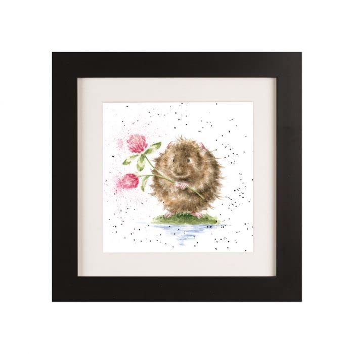 Wrendale Designs Water Vole Framed Picture in Wood Frame by The Riverside (Black)