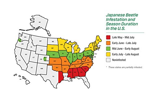 RESCUE! Non-Toxic Disposable Japanese and Oriental Beetle Trap