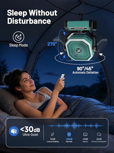 Portable Rechargeable Fan - 9-Inch Camping Fan for Tent, 24000mAh(60Hrs) Battery Operated Fan for Camping, Auto Oscillation Cordless Fans, Tent Fan with Remote/Light, 4 Speeds, 4 Timing, Outdoor