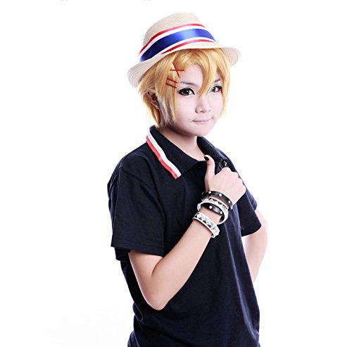 Generic 32cm Song Prince Kurusu ／Shou Wig Cosplay Wig