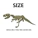 qiaoyun Dino Fossil Dig kit Toys，DIY Puzzle Dinosaurs Science Education Toys Assembly Kit.(T-rex)