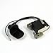 hercolor Ignition Coil 2-Stroke 49CC Quad Pocket Dirt Bike AIR Cooled Engine