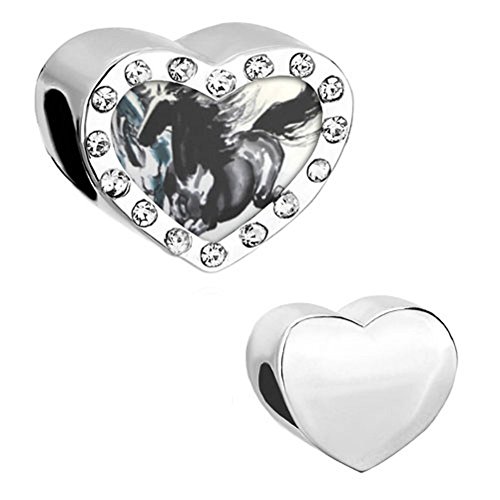 DemiJewelry April Black Horse Animal Charm Photo Beads for Bracelet Charms