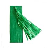 Somnr 5pcs 14 Inch Tissue Paper Tassel Garland Diy