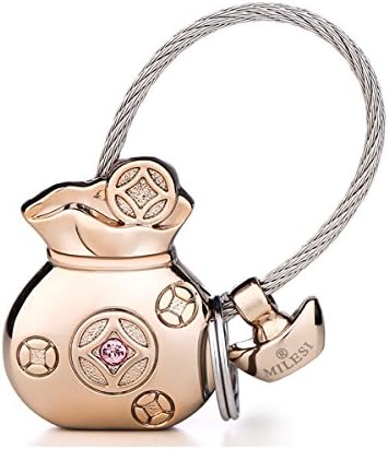 Fukubukuro Keychain, Couple Keychain, Car Keychain,Flexible Cable Key Ring (Fukubukuro, Gold)