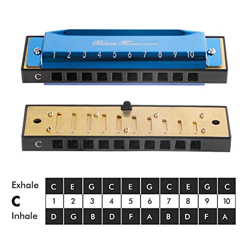 Blues Harmonica with Black Case (Blue), 10 Holes, 20 Tones, Key of C Blues Harmonica Stainless Steel, Suitable for Beginners and Professionals Players, Best Gift for Kids, Students, Friends