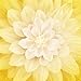 Hoffman Digital Dream Big 43'' Floral Panel Honeysuckle Fabric