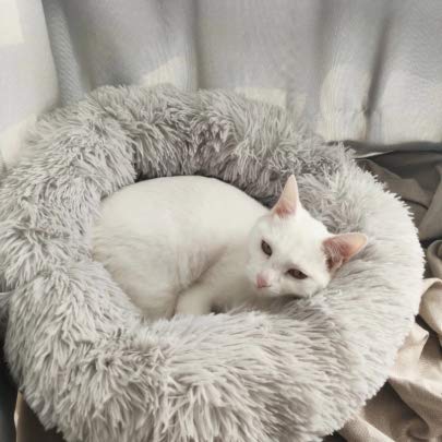 Dog Cat Donut Bed Small Pet Calming Bed Cosy Anti-anxiety Pet Cushion Bed Fluffy Plush Pet Bed for Cats and Small Dogs Deluxe Round Soft Plush Dog Bed Non-Slip Bottom(50cm)