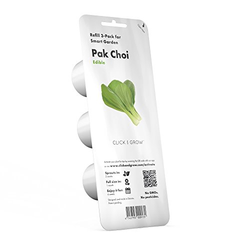 Pak Choi