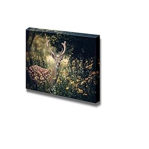 Canvas Prints Wall Art - Whitetail Deer Standing in Autumn Wood Wild Animal Photograph | Modern Wall Decor/Home Decoration Stretched Gallery Canvas Wrap Giclee Print & Ready to Hang - 12" x 18"