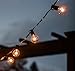 Our Luminosity Project 25ft Globe String Lights, Strong Black Wire, 25 Durable Bulbs (+5 Extra), Indoor Outdoor, Rooms, Backyard Deck Patio, Wedding or Event