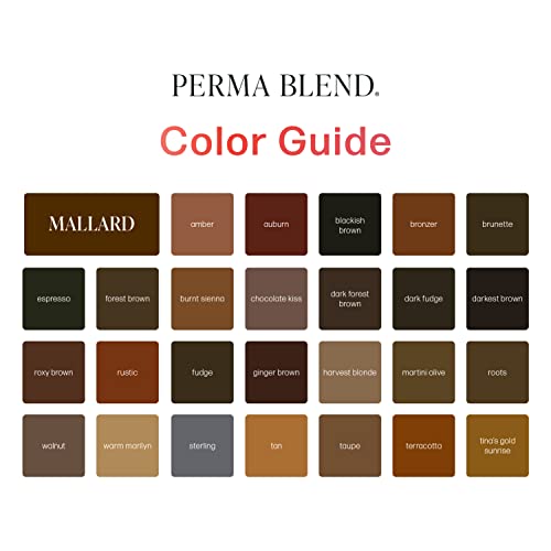 Perma Blend Cool Eyebrow Mini Set - Vegan PMU Tattoo Ink for Brows & Eyeliner - Microbalding Supplies for Permanent Makeup - Cool-Toned Pigment Kit for Cosmetic Tattoo Artists