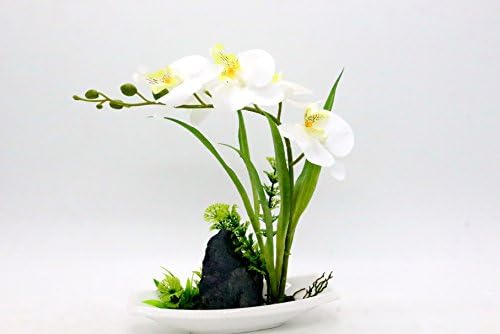 Leeman Artificial Lifelike Real Touch Flowers Arrangement Phalaenopsis Bonsai Orchid Miniascape Home Decoration Holiday Gift (White 545)