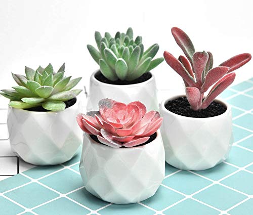 41u r cP9pL 41u r cP9pL