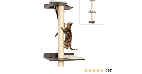 best cat climbing tree