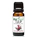 BioFinest Tulip Oil - 100% Pure Tulip Essential Oil -Promote Restful Sleep, Relieve Stress- Premium Quality - Therapeutic Grade - Best For Aromatherapy - FREE E-Book (10ml)