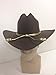 King County Sheriff Hat Brown Lined Cowboy Western Gold Cord LG/XL Zombie Hunter