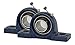 Jeremywell UCP202-10 Pillow Block Bearing (2 Pack), 5/8 inch Bore, 2 Bolt Flange Mounted, Solid Cast Iron Base, Self-Alignment